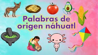 PALABRAS NÁHUATL QUE USAMOS EN ESPAÑOL | Palabras de origen nahuatl | dilo en náhuatl con XIPATLANI