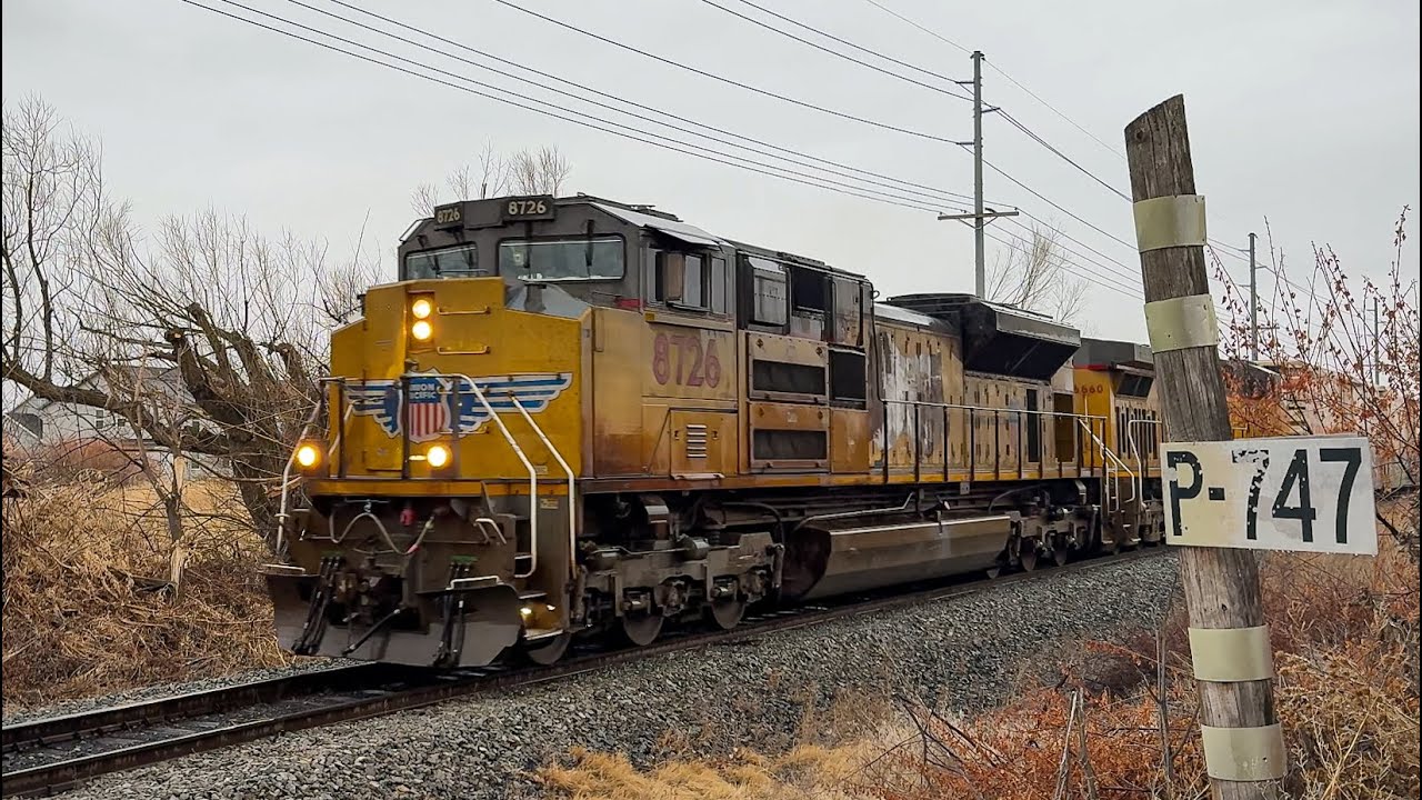 [4K] High & Wide rolls through town on the MYROG!