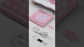 Kiiboom Cybrix 29 Pink 3 Colors & Kiiboom Duskrise Magnetie Switches