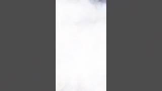 Arrasta Pé Couver Whatsan Havanna