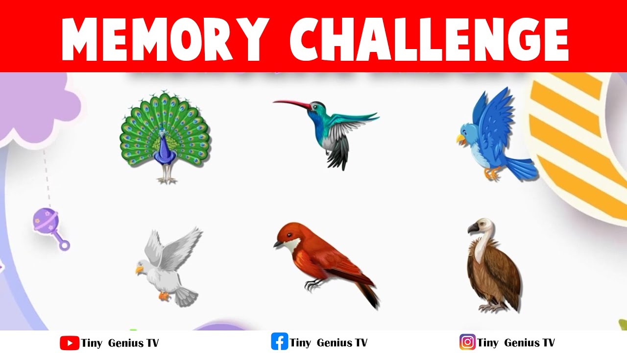 Fun Memory Game for Kids - Memorize and Match Images - YouTube