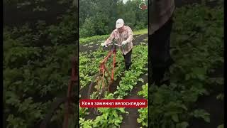 🚲😳 🥔 Продал коня, а потом удивил всех своей находкой