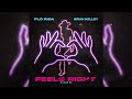 Flo Rida, Brian Kelley - Feels Right (I Love It)