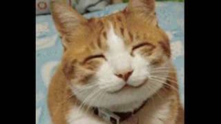 Wosh - Pesen Za Istinskata Liubov