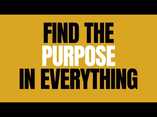 Finding Your Purpose in Everything | CPTSD and Trauma Healing Coach