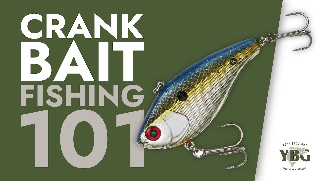 How to Rig a Crankbait Correctly: Beginner Fishing Tips! 