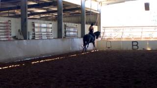 Archie flatwork