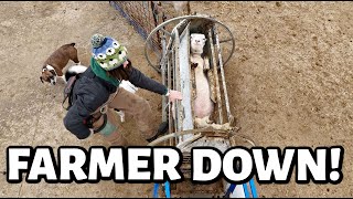 this is me trying. | sheep farming with the flu, and cleaning up our dirty little secret. Vlog 765