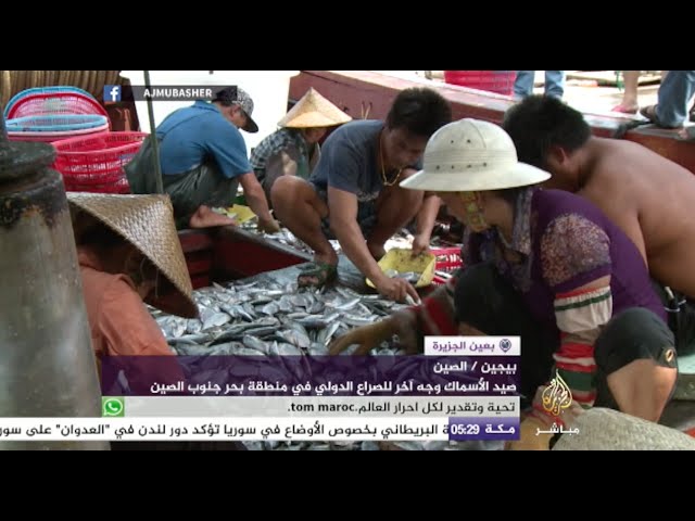 صيد الأسماك وجه آخر للصراع الدولي في منطقة بحر جنوب الصين