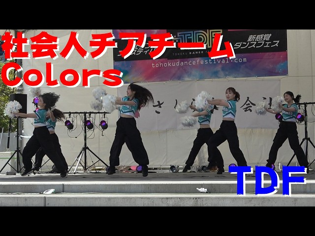 Adult Cheerleading Team Colors] [TDF (Tohoku Dance Festival 2026