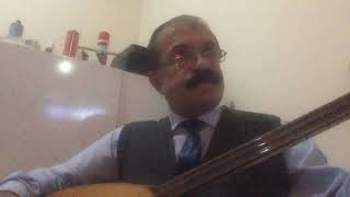 Akılsız Baş Diye Dost Beni Taşlar