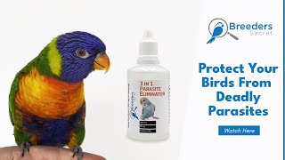 Parasite Eliminator Breeders Secret Bird Products