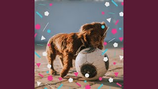 Sublime Moods for Behaving Puppies