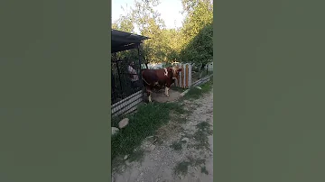 6 вересня 2025 р 