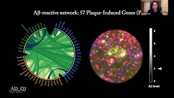 [Wei-Ting Chen] Spatial Transcriptomics and In Situ Sequencing to Study Alzheimer