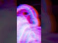 FUTURE GODDAMN TYPE BEAT🦅 #shorts #future #lilbaby #slime #atlantabeat #typebeat #freebandz #trap