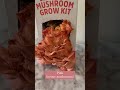 On Wednesdays, we eat pink. Grow your own organic pink mushrooms from home via BacktotheRoots.com.