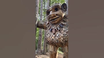 Troll promo 3 for The DEMO Project CD "Finally" @ www.thedemoproject.net   #progressiverock