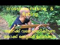 Crossbow making, fishing and cooking തോക്ക് തെറ്റാലി ഉണ്ടാക്കുന്നതും മീൻ പിടിക്കുന്നതും