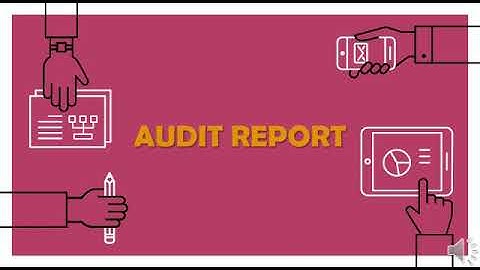 Audit Report - Practical Auditing