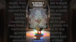 The Sonic Booms Of Quacking Ducks