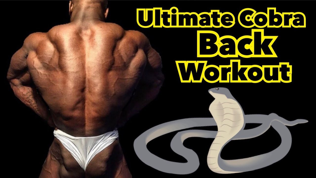 Ultimate Cobra Back Workout With Tom Hadfield & Azeez Salu