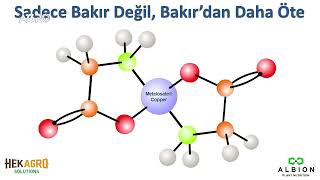 Bakır'ın Bitkilere Etkisi Neler? Albion Aminoasit Teknolojisi | Uzman Görüşü Resimi