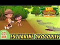 The Estuarine Crocodile Full Episode Leo The Wildlife Ranger Kids 