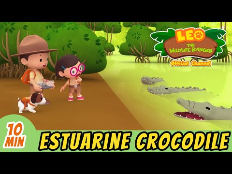 The Estuarine Crocodile Full Episode Leo The Wildlife Ranger Kids