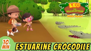 The Estuarine  Crocodile | Full Episode | Leo the Wildlife Ranger | Kids