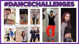 Sandara Park #DanceChallenge Compilation with [Zico, Jinwoo, Gray, Donghyuk, Jessie...]
