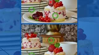 Find 500 Differences level 8 Game Book screenshot 2