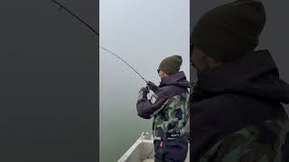 РЫБАЛКА НЕ ДЛЯ ВСЕХ! #окунь #fishing #рыбалка #река  #спиннинг #таганрог