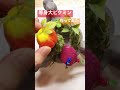 【short】粘土でリアルサイズのピクミン作ってみた #pikmin #diy