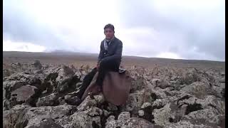 Mehmet Tekdemir Dile Behal 2015