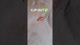 CJP❌BJP✅ #dj #ekbharatshresthbharat #live #ramnaamsejagmaghai
