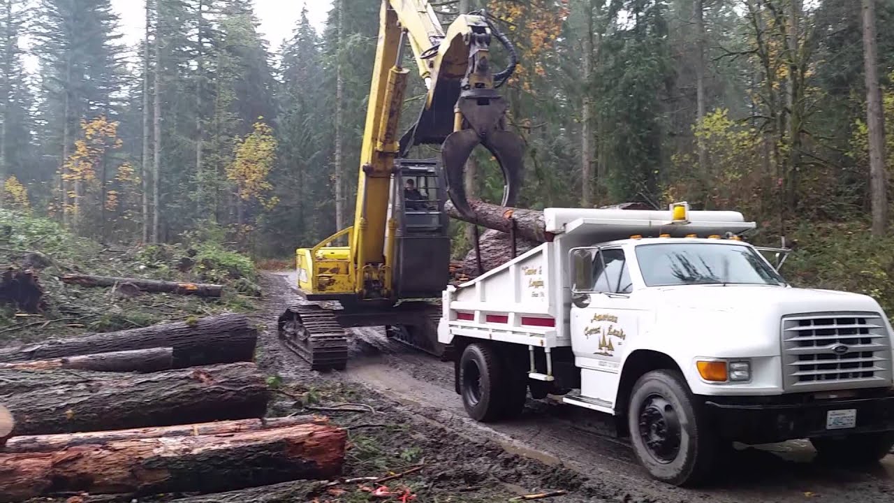 Washington Firewood Dump Truck Hauling Logs Logging Buckley King County