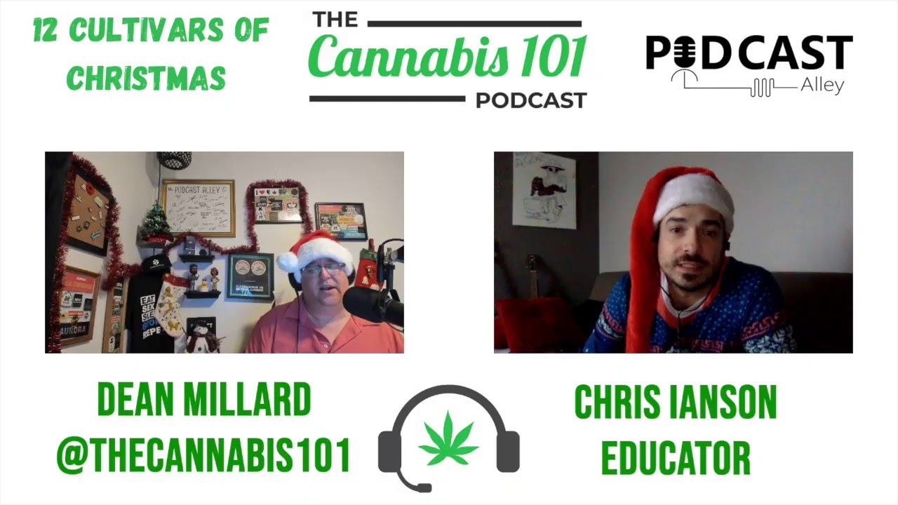 12 Cultivars of Christmas - Exodus Cheese