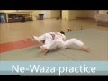 Ne waza practice  odawa judo club