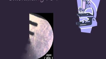 Microscopy Part 2 FOV