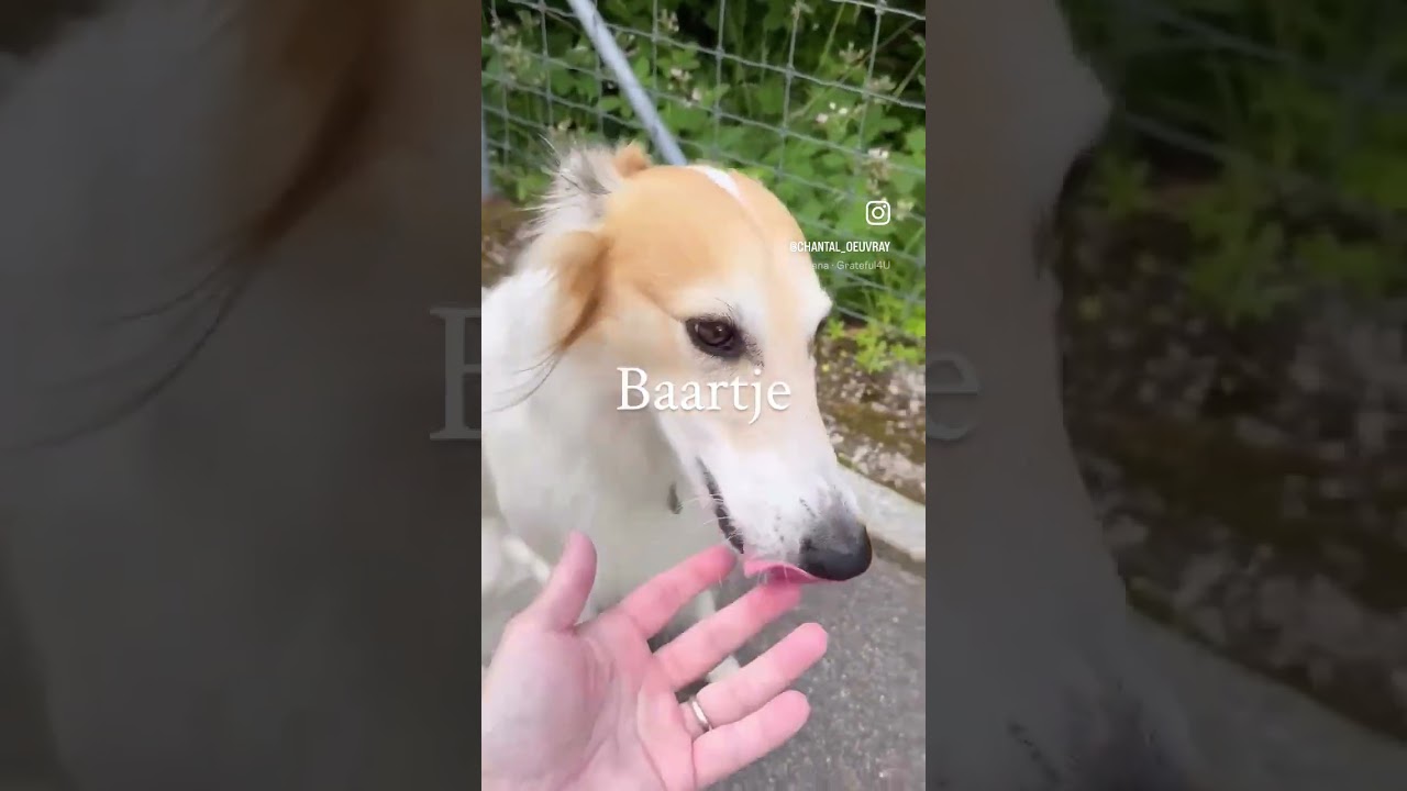 Wie viel Selbstliebe spürst Du heute? 1-10 