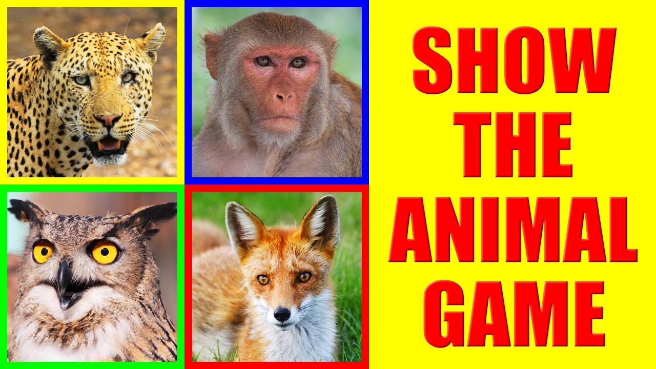 Show me the ZOO ANIMAL Game for Kids - Where is the animal?