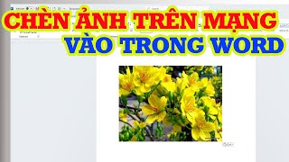 Cách chèn ảnh trên mạng vào trong Word siêu nhanh