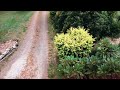 Aerial Cinematography made with DJI drones. Music by Stephen Ewart