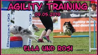 Agility Training Am 09.05.2019 - Rosi Und Ella