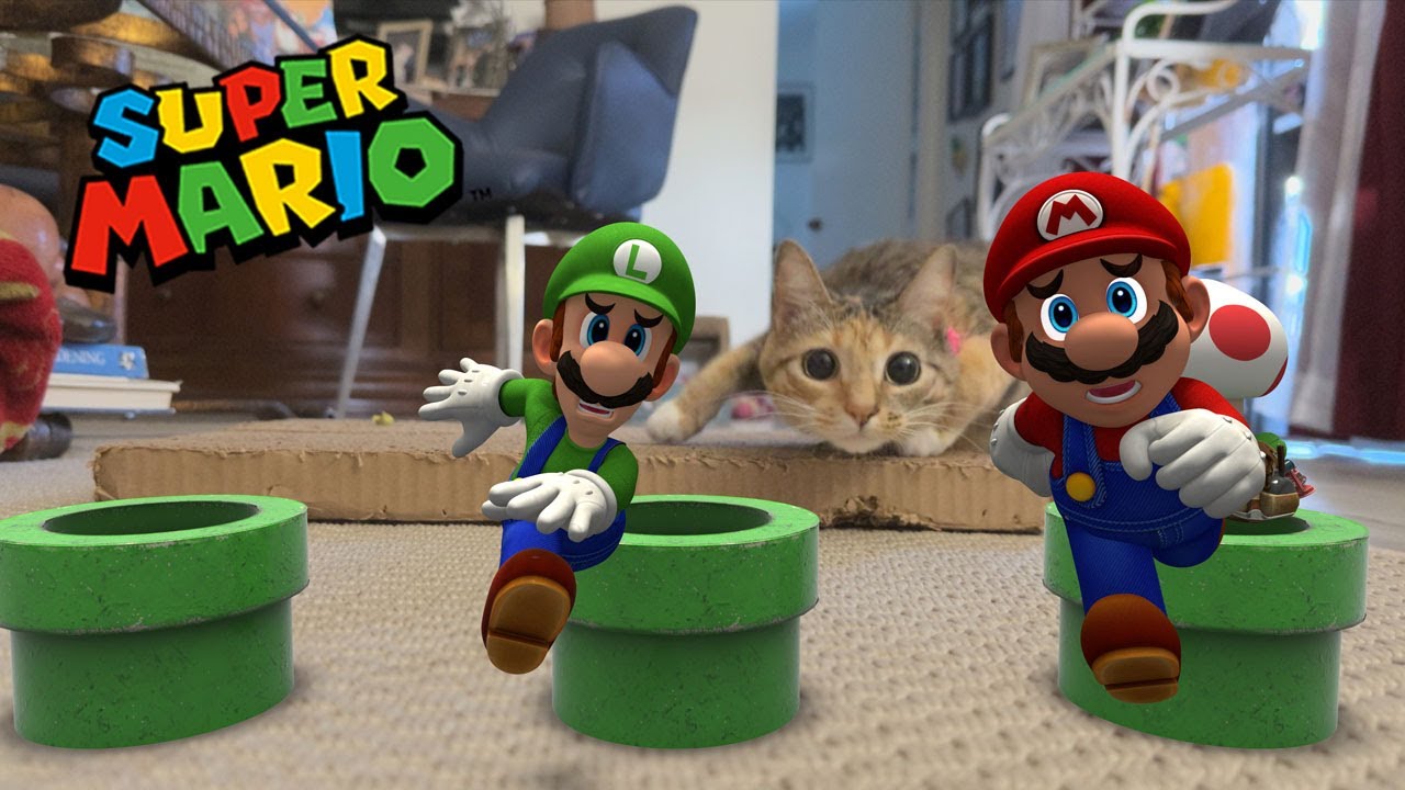 Super Mario bothering my cat #mario #nintendo #funnycats