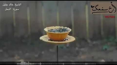 أرح سمعك تلاوة القرآن الكريم القارئ الشيخ خالد الجليل حالات واتس اب اسلامية  حالات دينية حالات قرآن