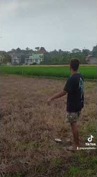 Joki PPekalongan ||AB