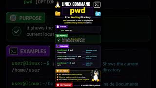 📂 Linux pwd Command Explained in 30 Seconds!