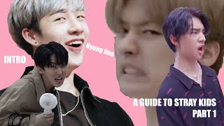 INTROduction to Stray Kids